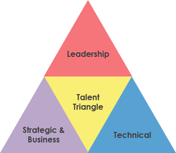 PMBOK talent triangle