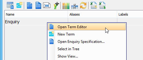 Open term editor