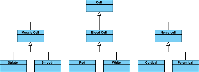 Inheritance Example