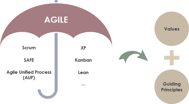 Agile and guiding principle