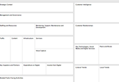 Digital Strategy Canvas