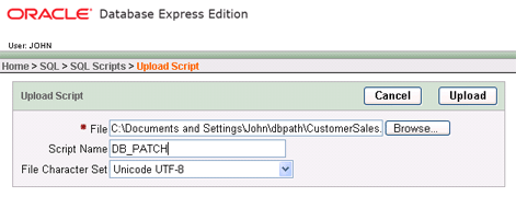 Upload Oracle database update script